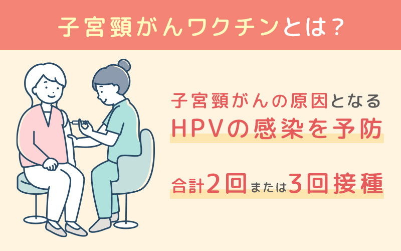 子宮頸がんワクチン（HPVワクチン）は子宮頸がんの原因となるHPVの感染を予防する筋肉注射